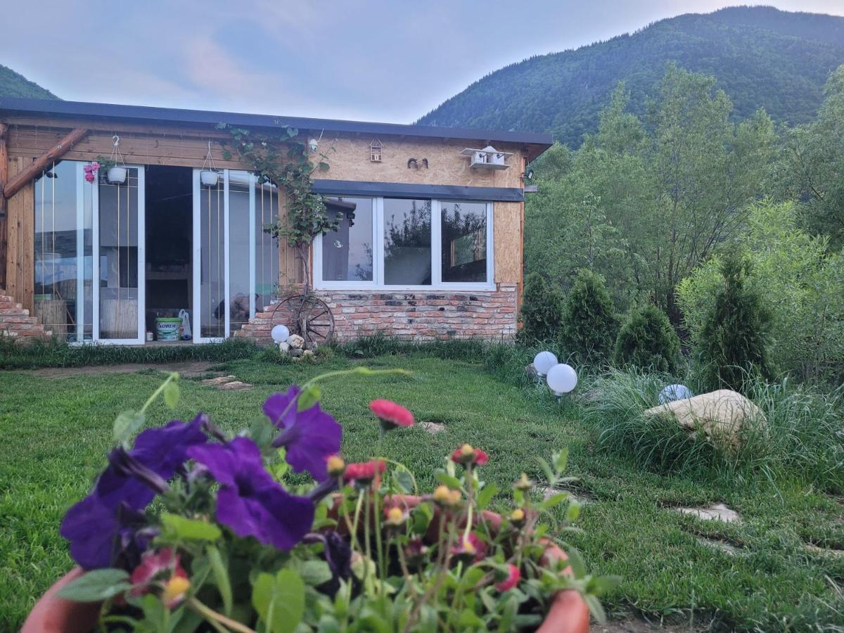 Villa Casuta Din Crai Zărneşti Exterior foto
